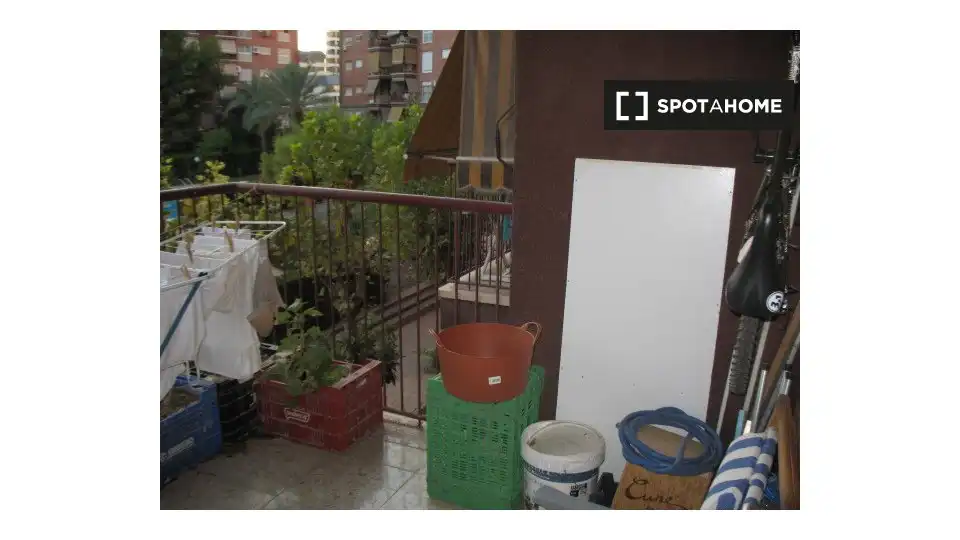 Habitació de lloguer, Alacant