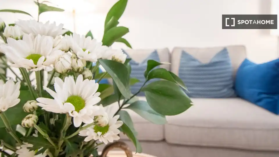 Habitación 58 m², Cádiz