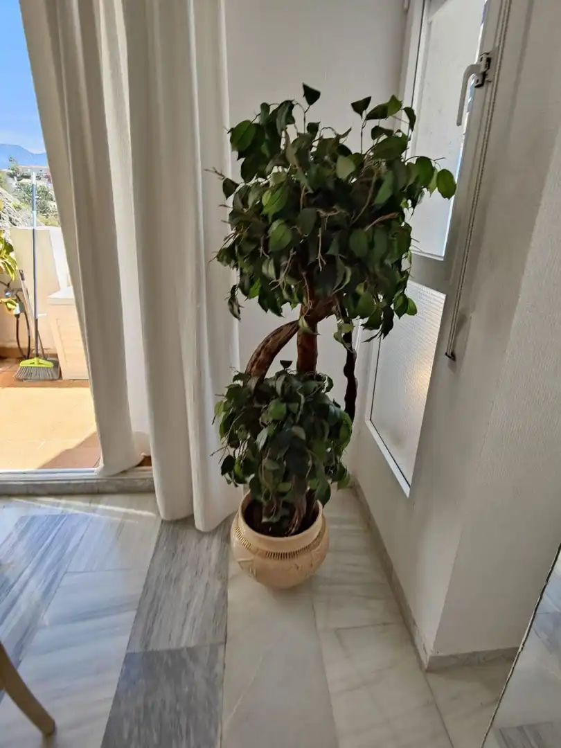 Piso de 120 m² en Almuñécar