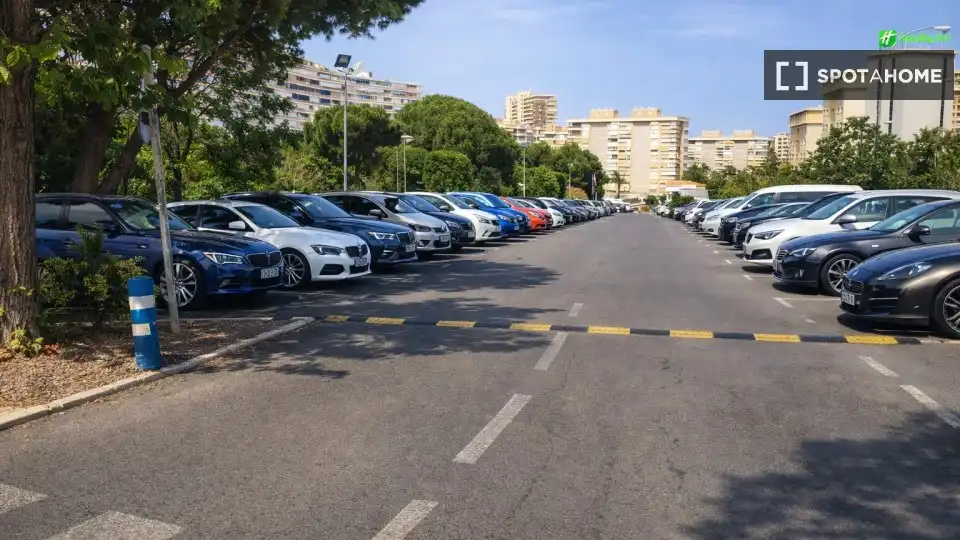 Habitación 40 m², Alicante