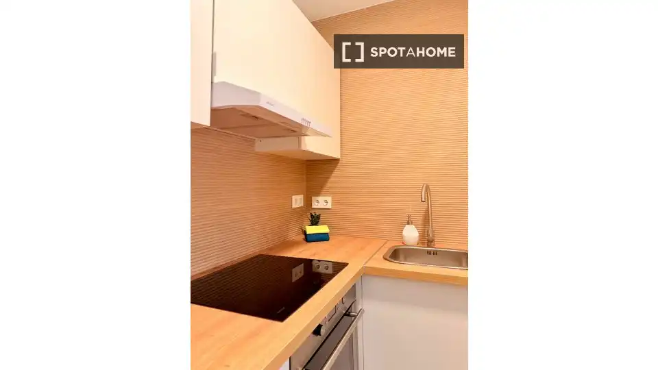 Habitación 58 m², Granada