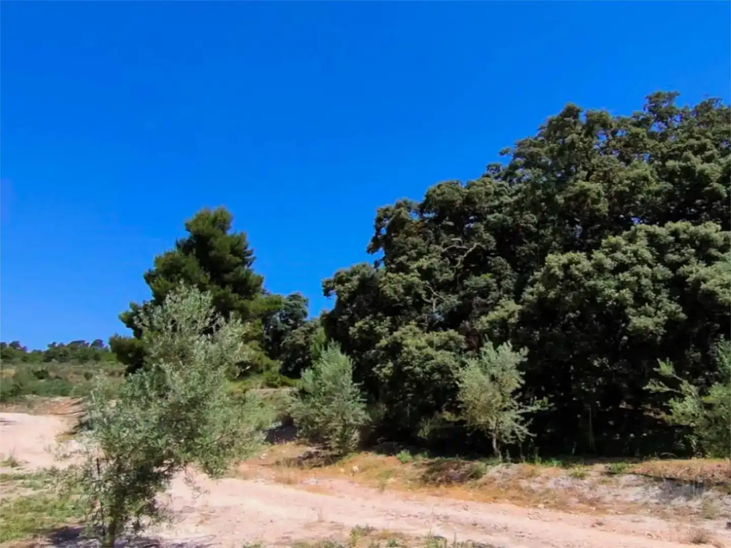 Piso de 560 m² en Alcoy