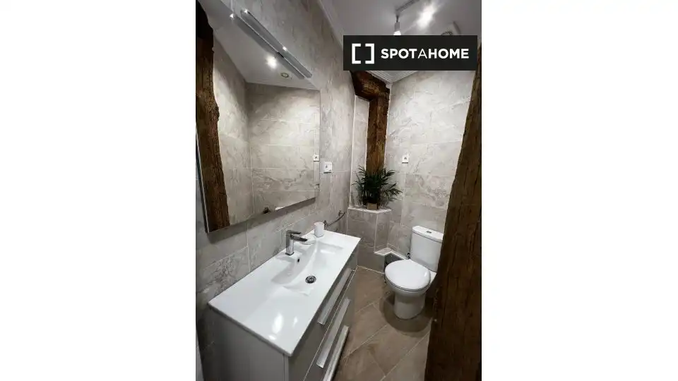 Habitación 29 m², Bilbao