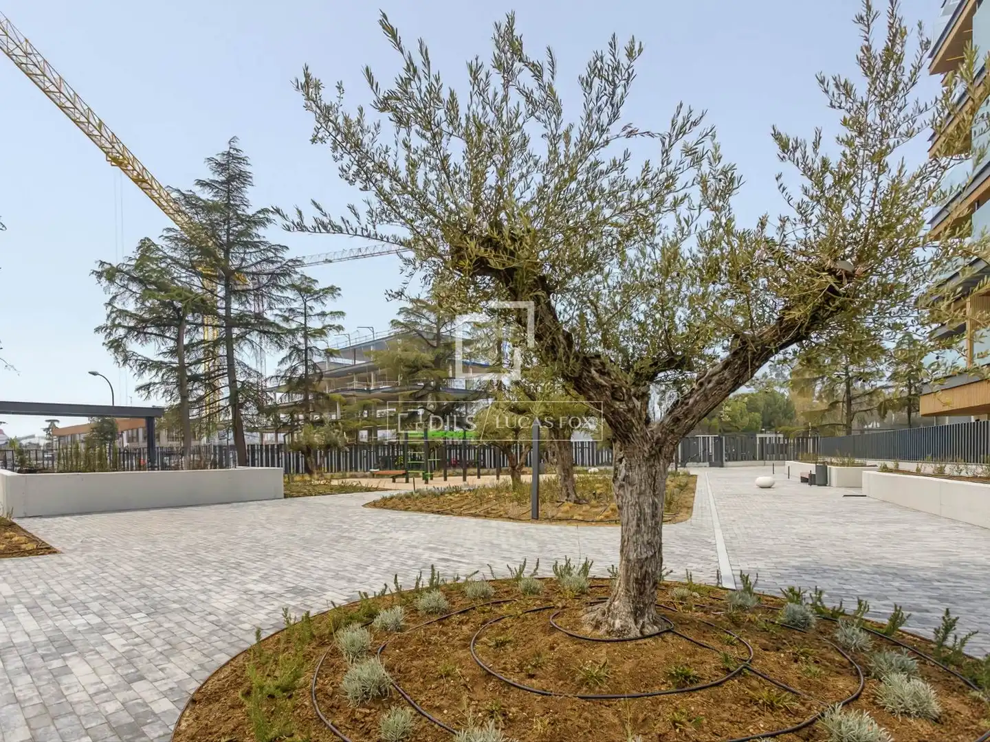 Pis de 65 m² a Madrid