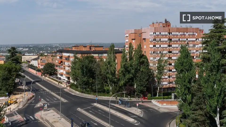 Stanza in affitto, Madrid