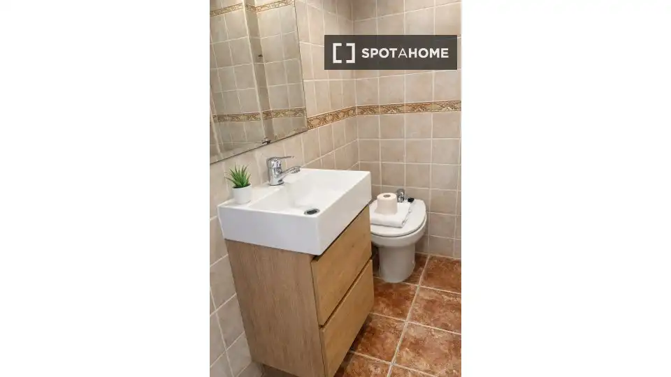 Habitación 40 m², Alicante