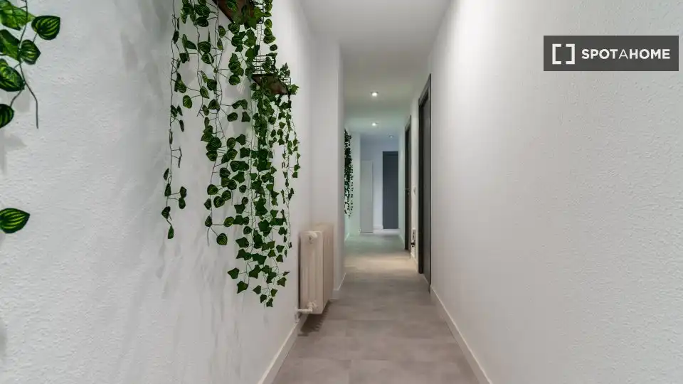 Zimmer zur Miete, Madrid