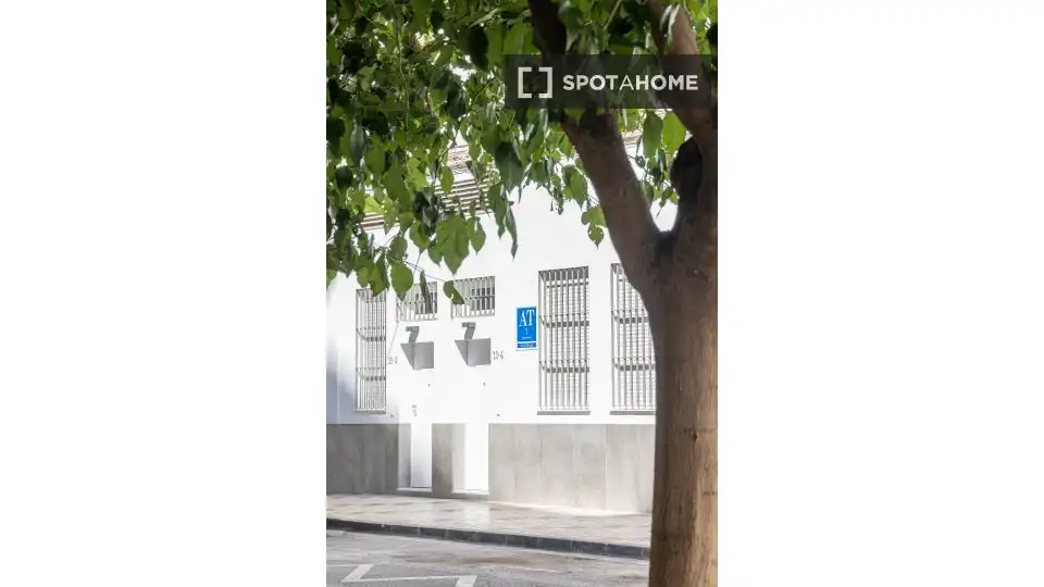 Habitación 29 m², Málaga