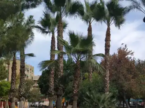 Piso de 90 m² en Murcia