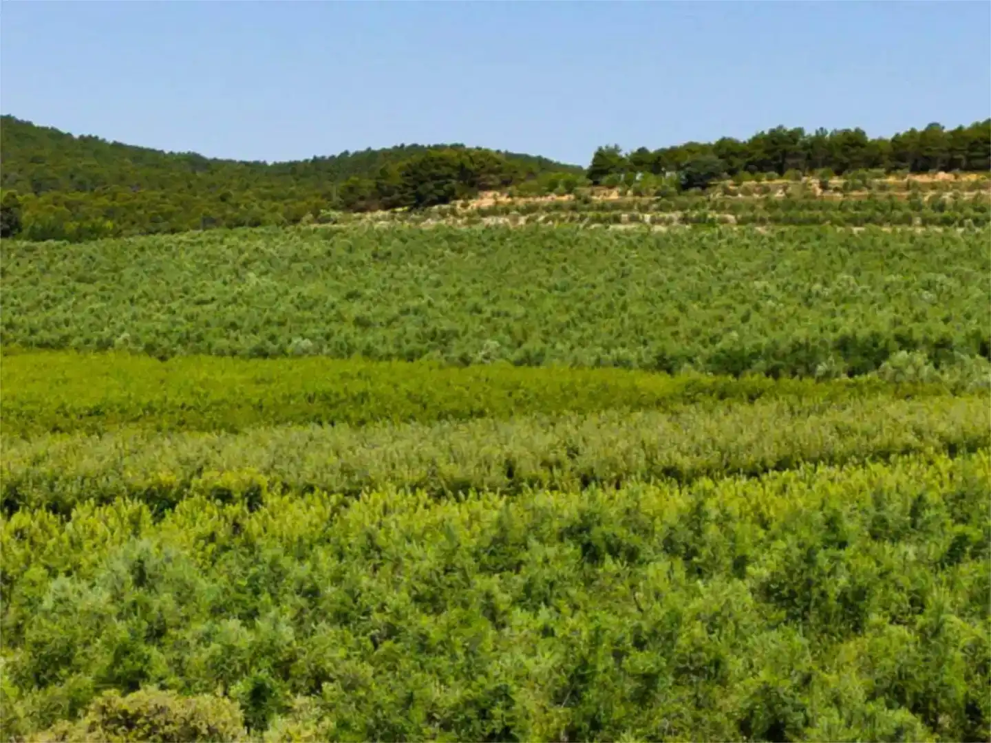 Piso de 560 m² en Alcoy