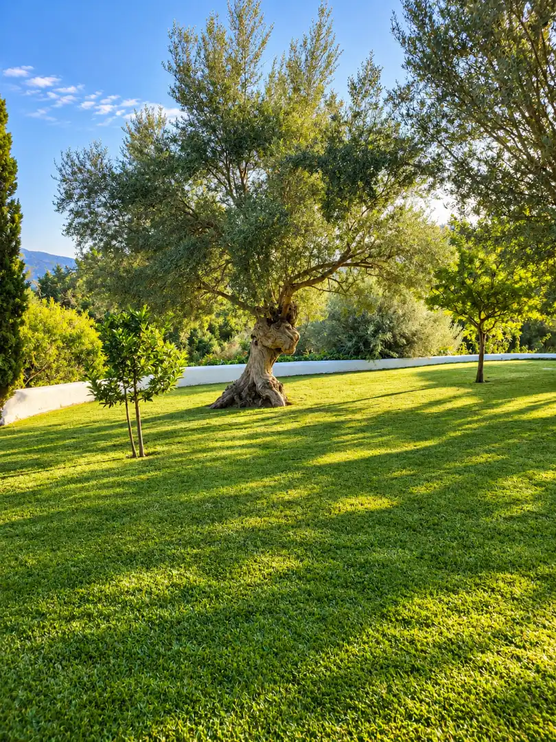 Casa de 140 m² en Andratx