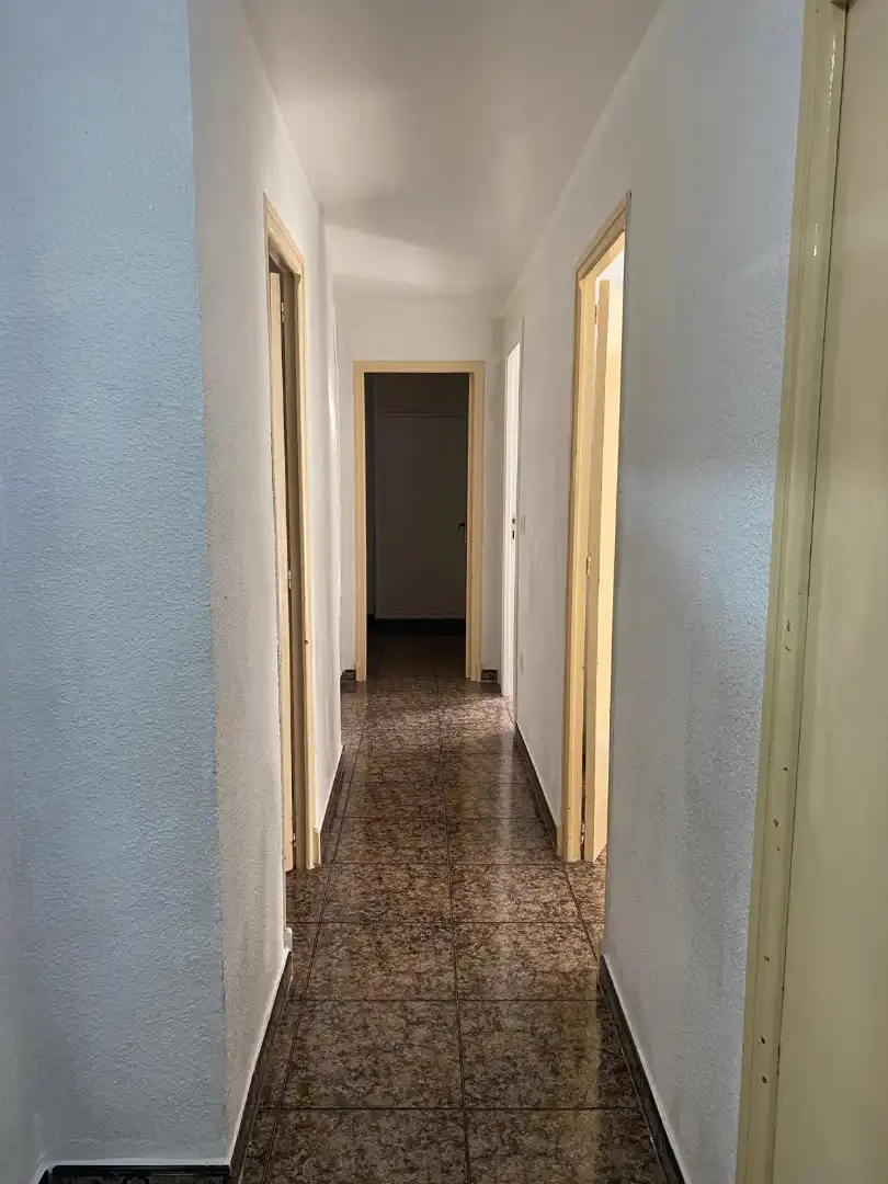 Habitació de lloguer, Elx