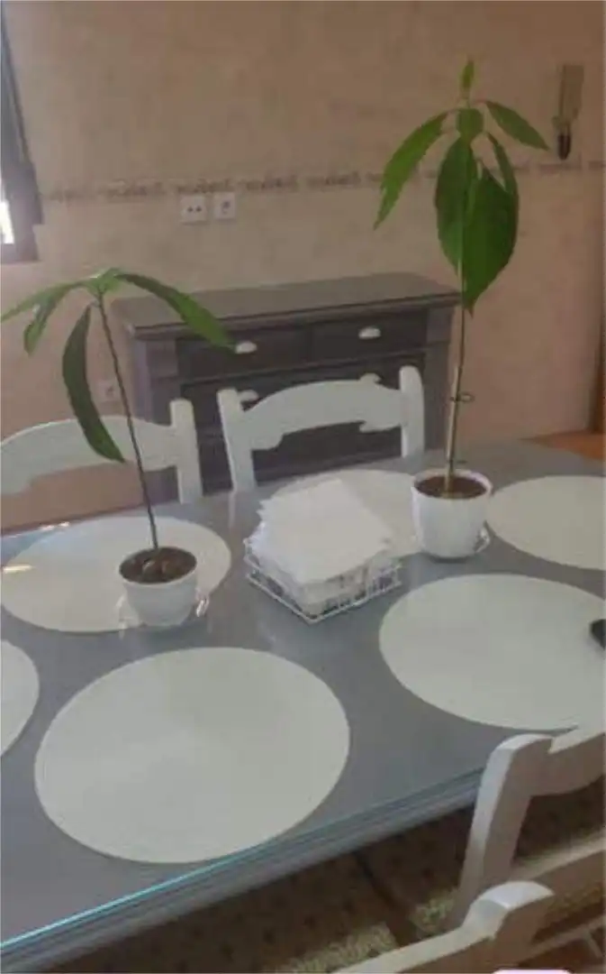 Casa de 300 m² en Córdoba