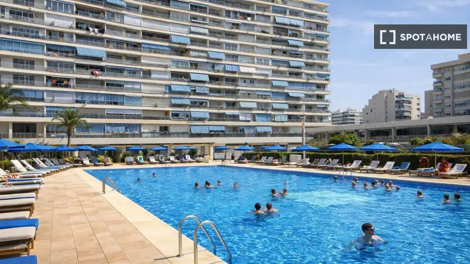 Habitación 40 m², Alicante