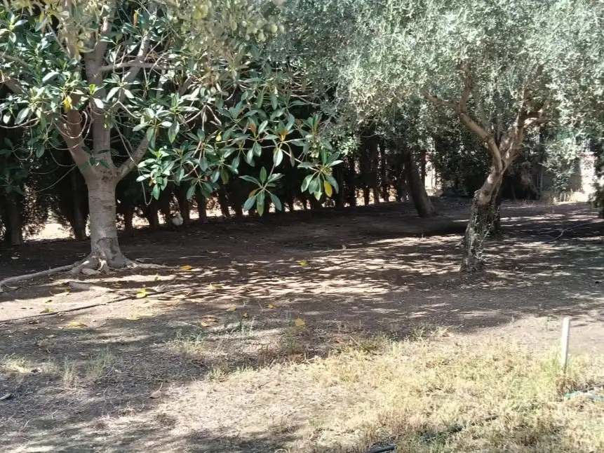 Casa 319 m² a Agost