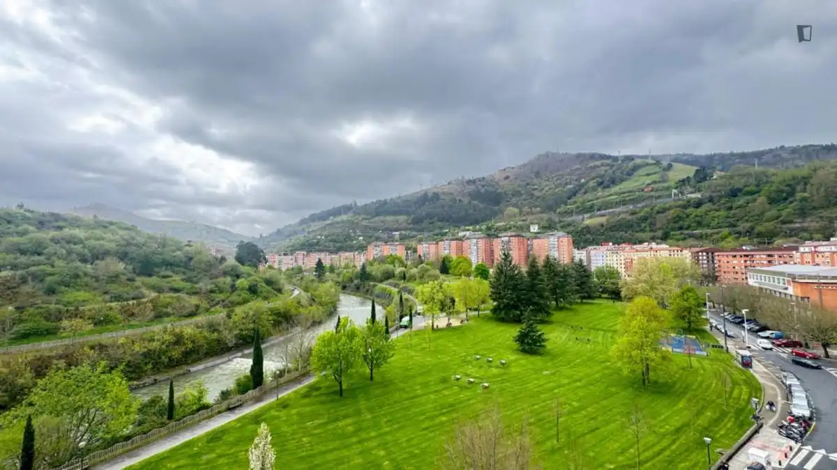Habitació de lloguer, Bilbao