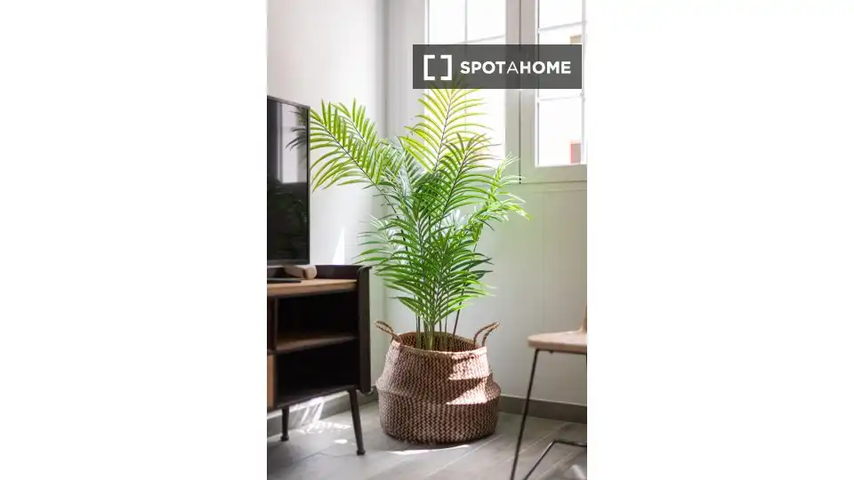 Habitación en alquiler, Las Palmas de Gran Canaria