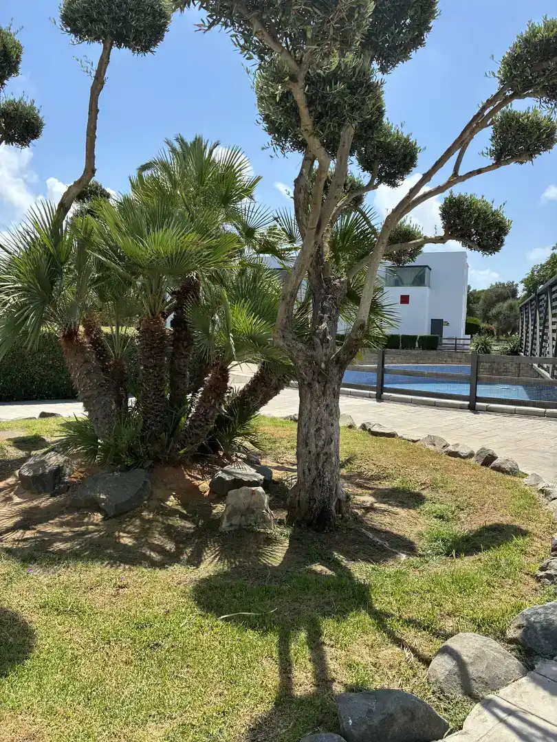 Piso de 85 m² en Rota