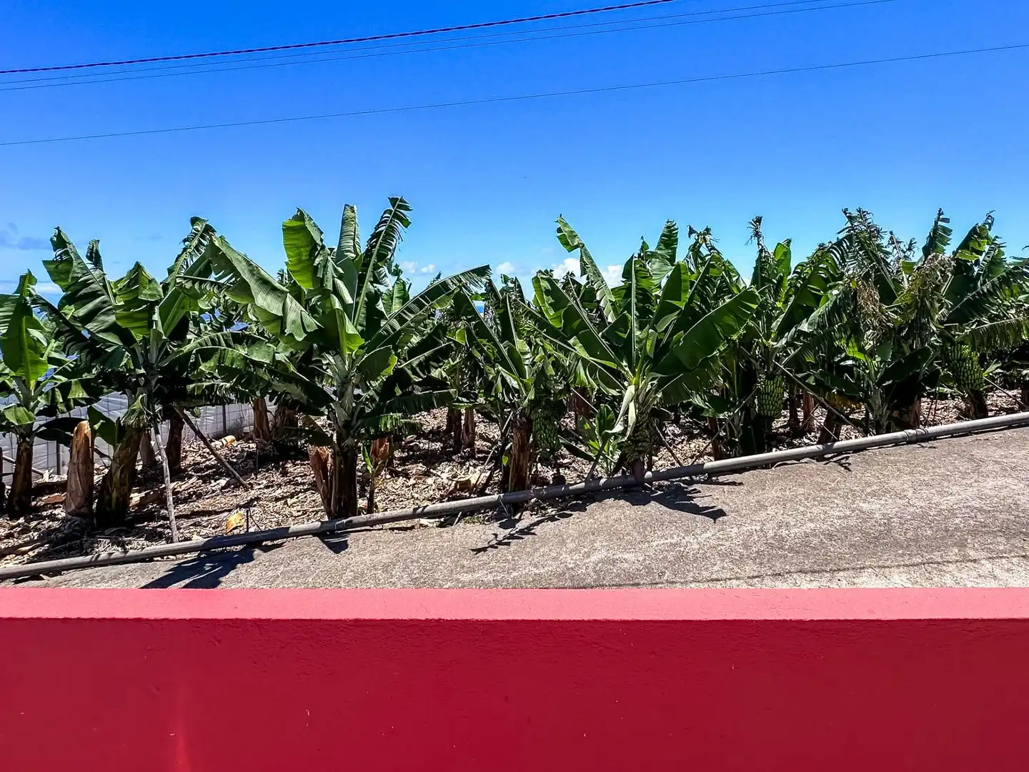 Piso de 50 m² en Barlovento