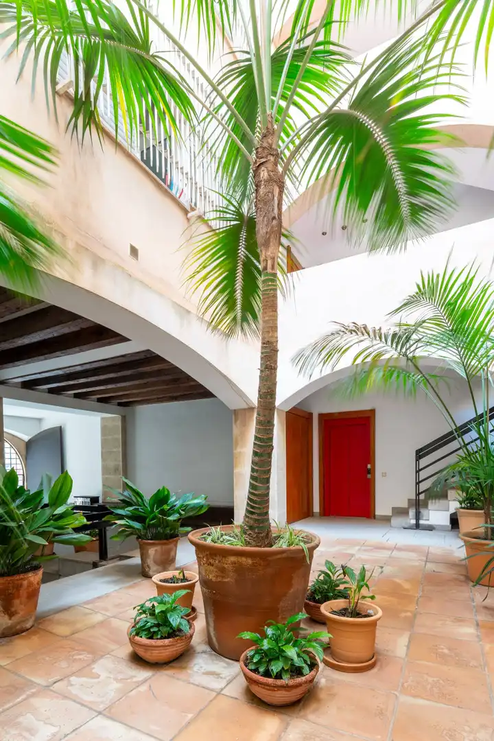 Pis de 156 m² a Palma