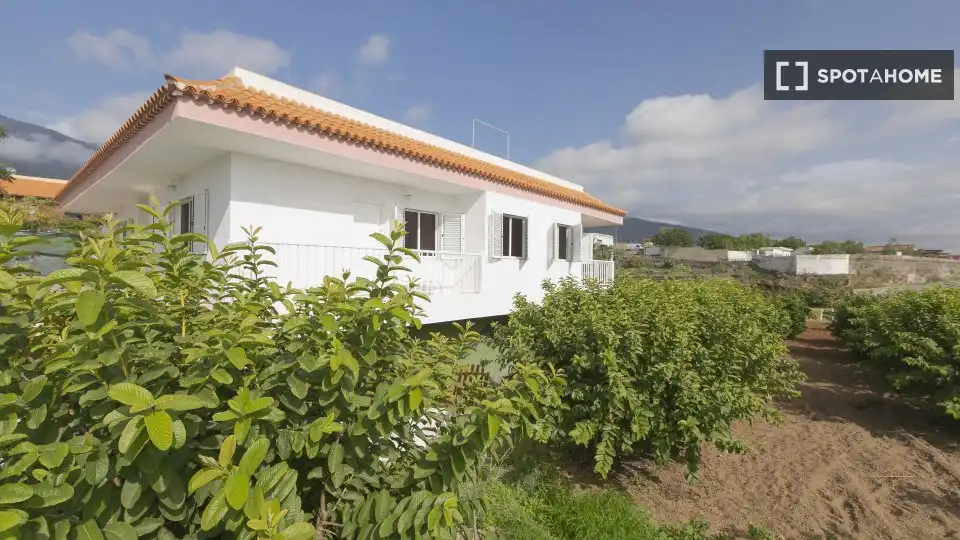 Habitación en alquiler, Arafo