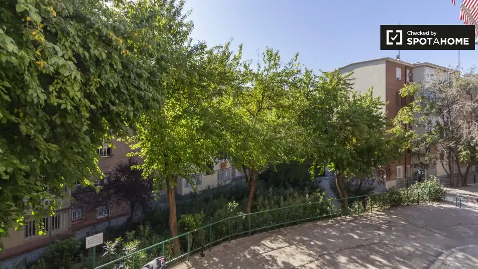 Room for rent, Madrid