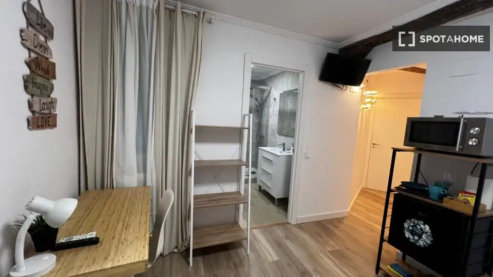Habitación 29 m², Bilbao