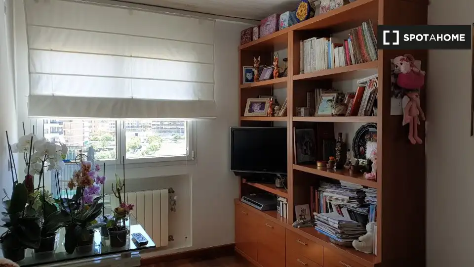Habitació de lloguer, Alacant