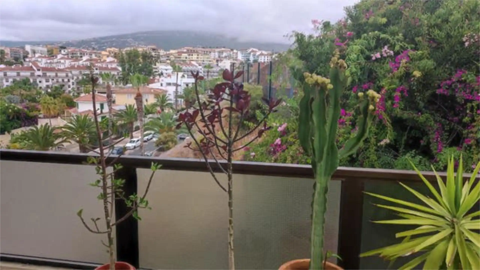 Piso de 50 m² en Puerto de la Cruz