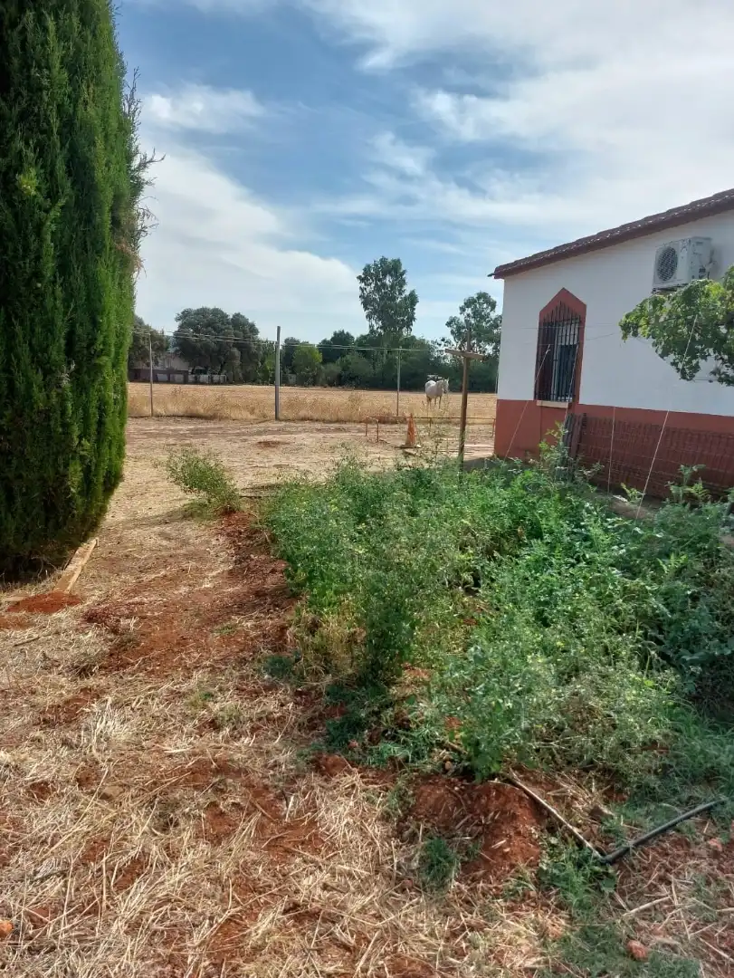 Casa de 85 m² a Argamasilla de Calatrava