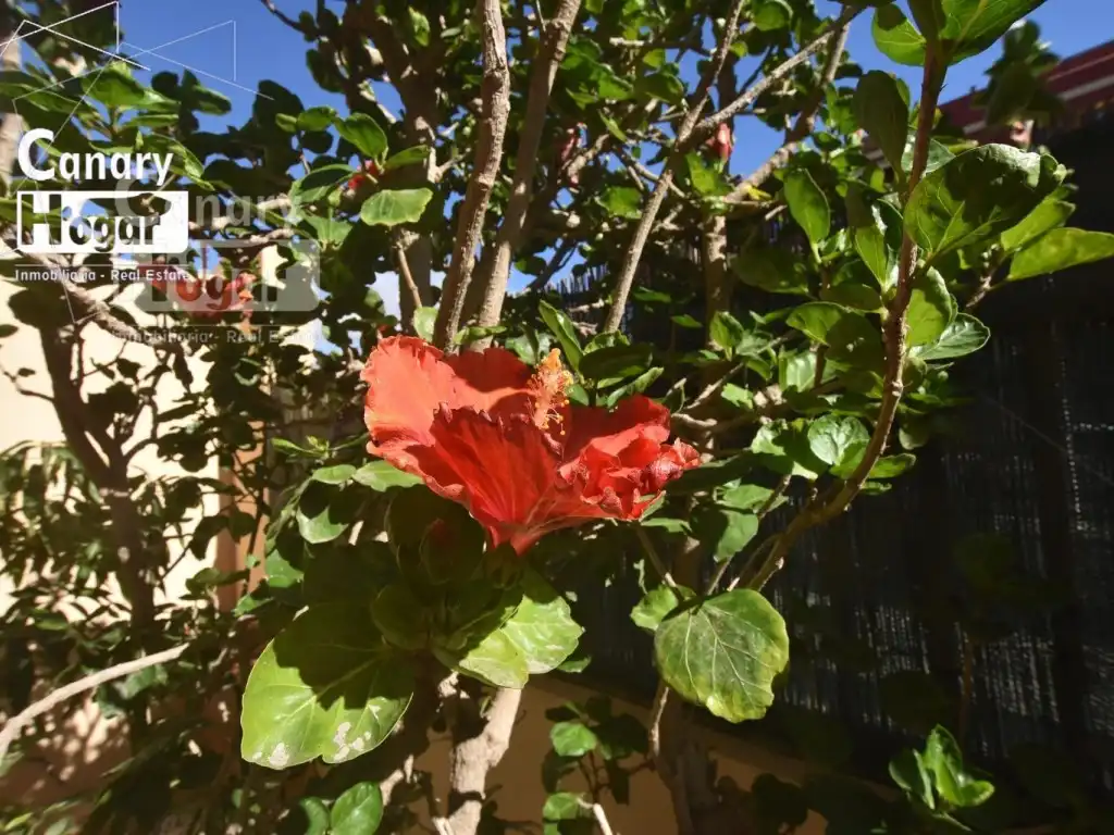 Casa de 168 m² en Granadilla de Abona