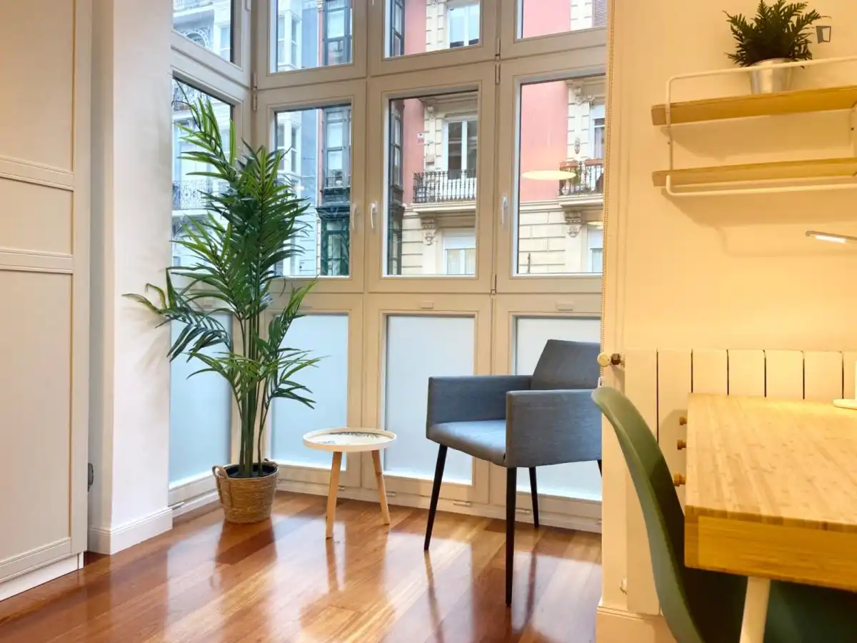 Habitación en alquiler, Bilbao