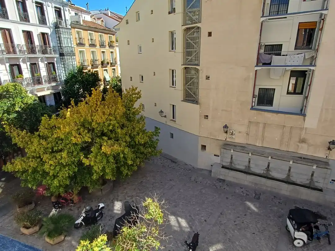 Stanza in affitto, Madrid