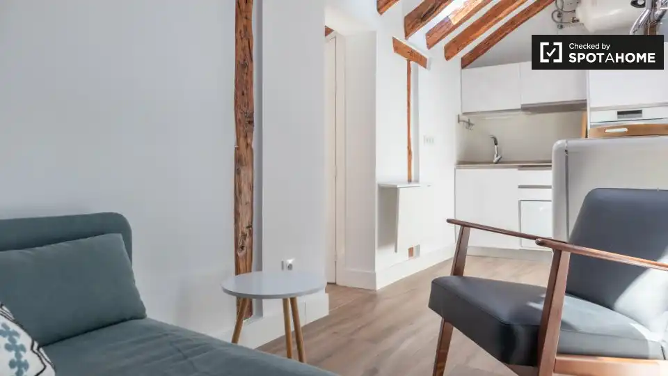 Piso de 25 m² en Madrid
