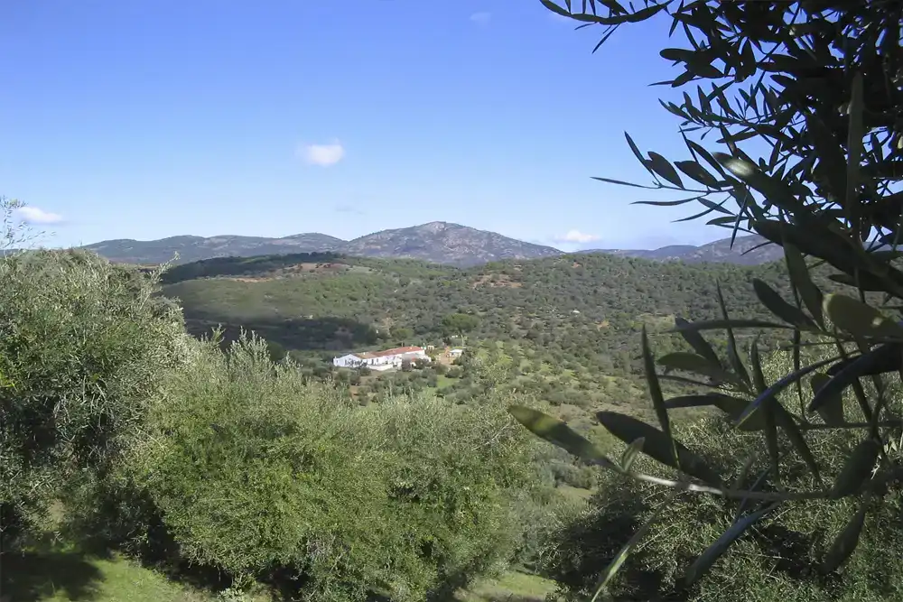 Casa de 150 m² en Villaviciosa de Córdoba
