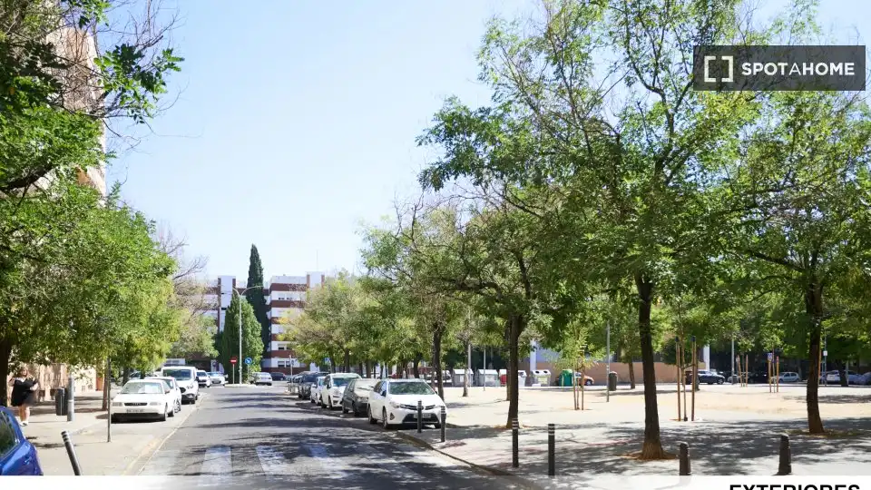 Habitació de lloguer, Sevilla