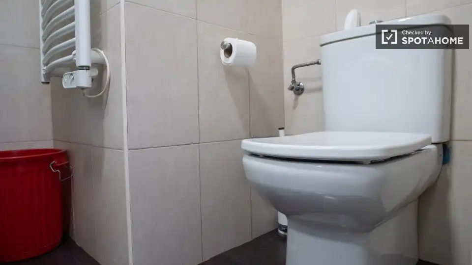 Кімната в оренду, Madrid
