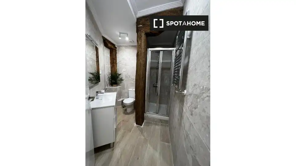 Habitación 29 m², Bilbao