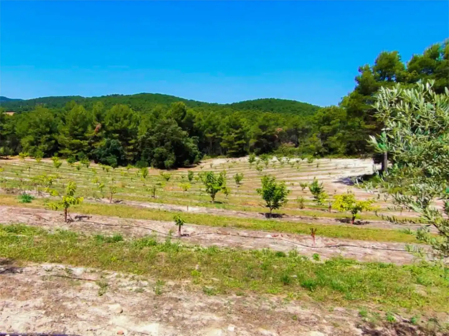Piso de 560 m² en Alcoy