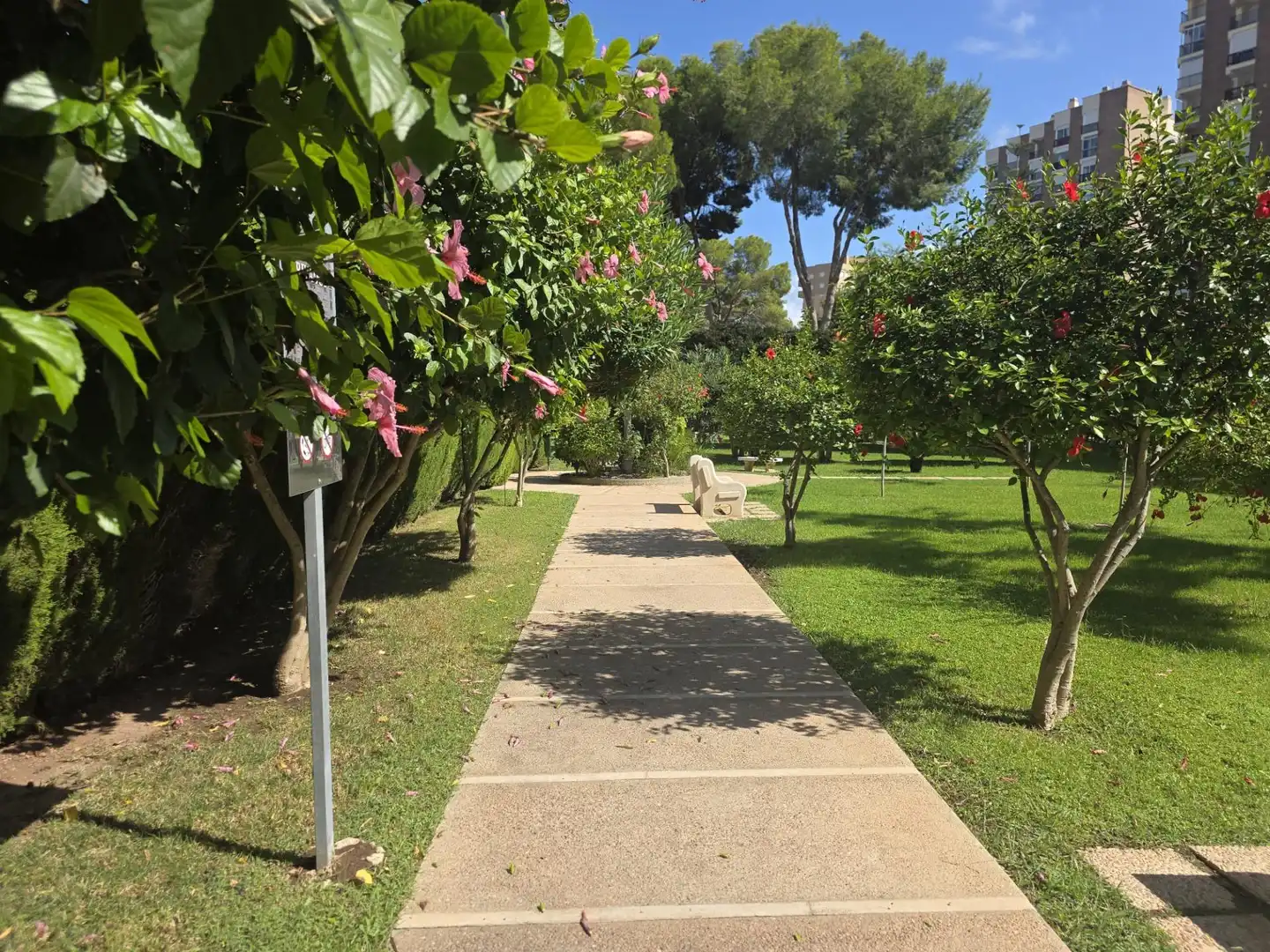 Piso de 40 m² en Orihuela