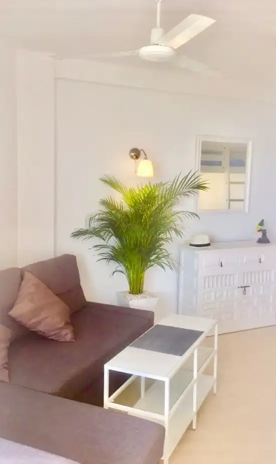 Piso de 40 m² en Torrox
