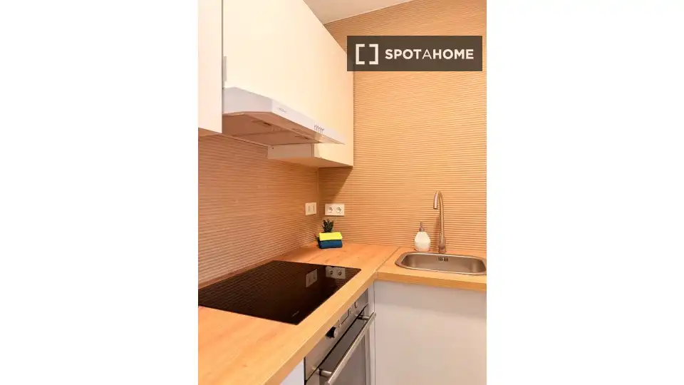 Habitación 58 m², Granada