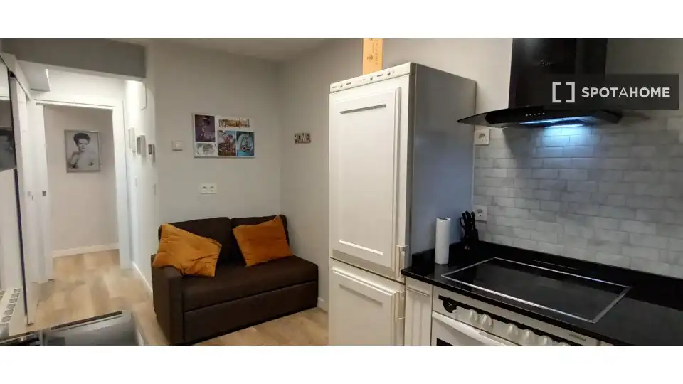 Habitación 46 m², Bilbao
