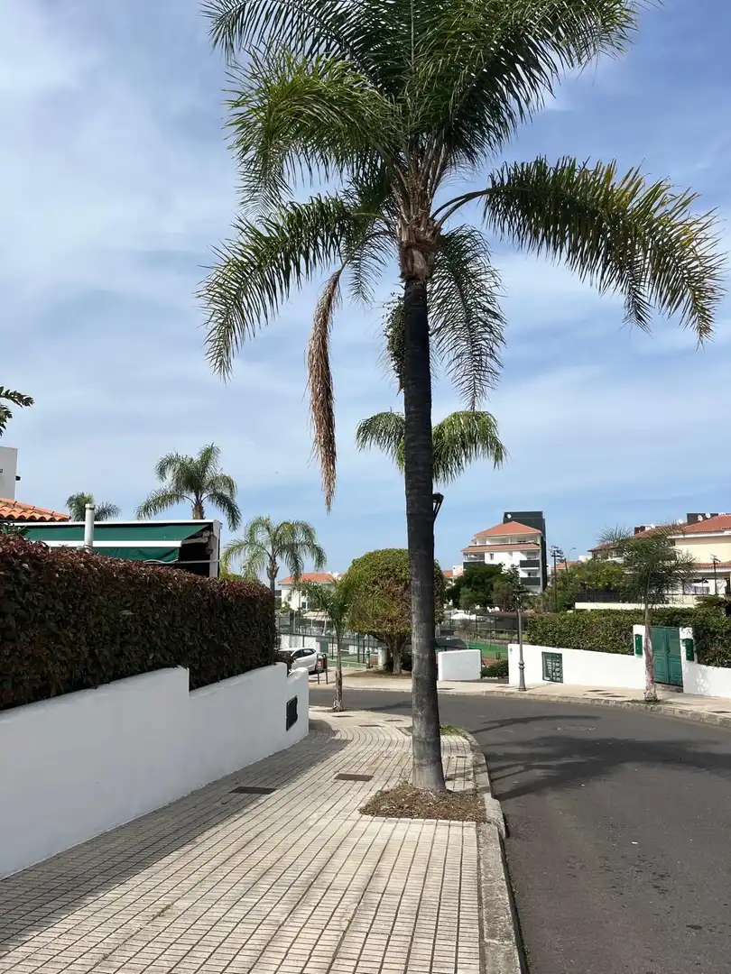 Pis de 115 m² a Puerto de la Cruz