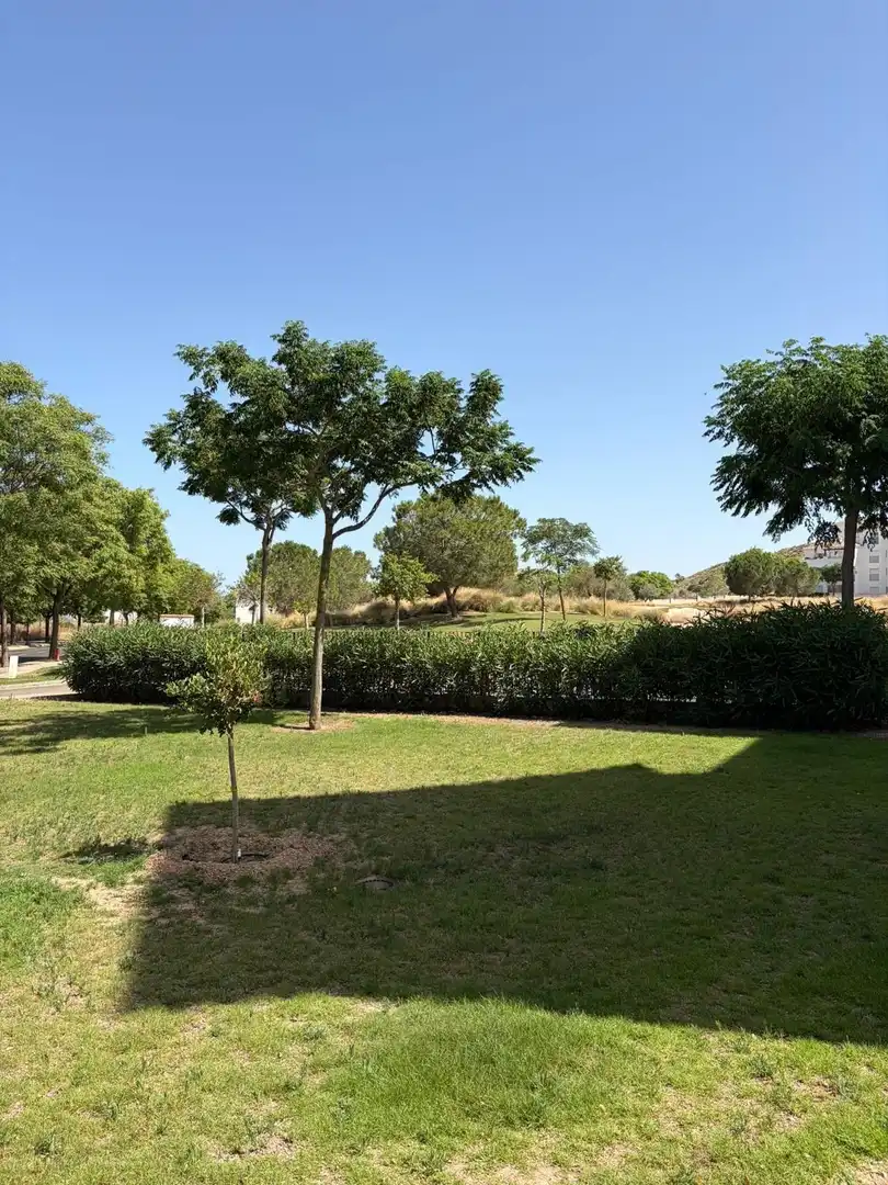 Appartamento 76 m² a Murcia