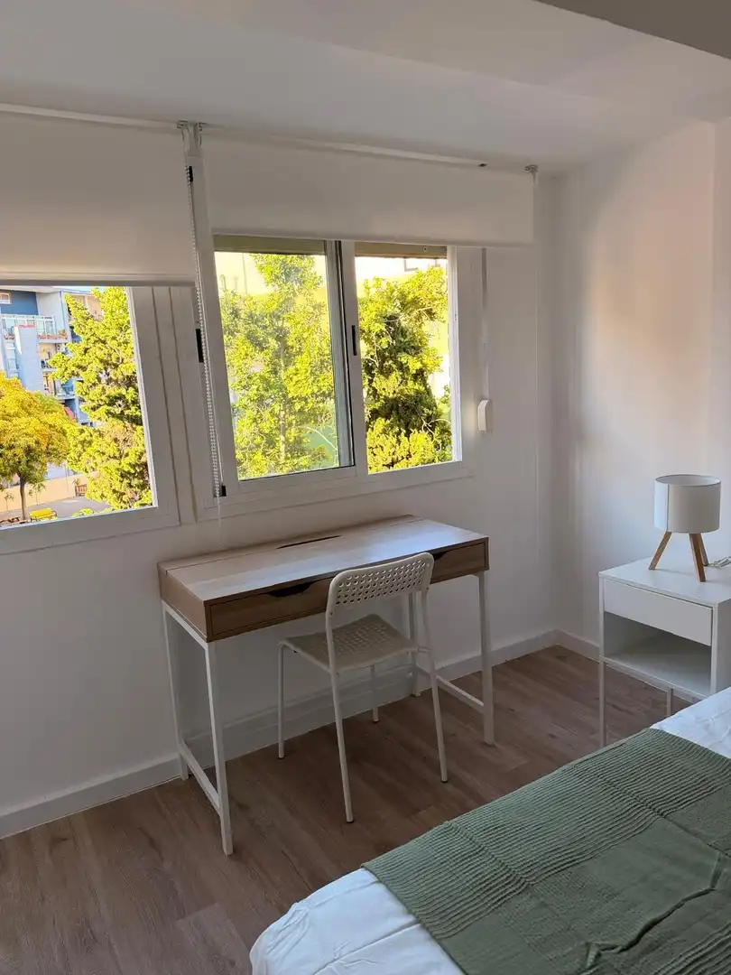 Habitació de lloguer, Alacant
