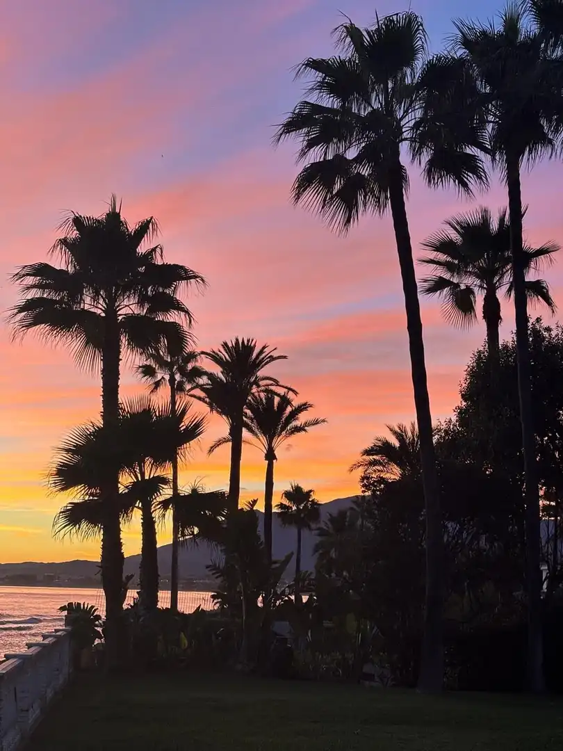 Pis de 984 m² a Estepona