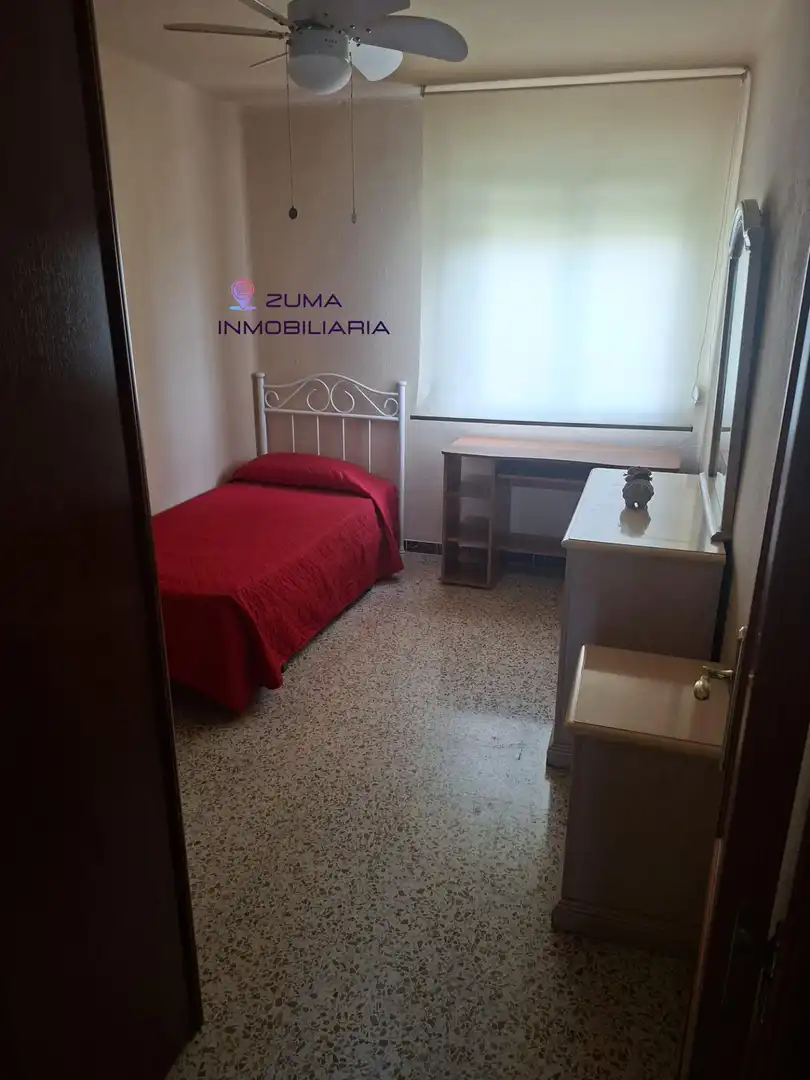 Stanza in affitto, Málaga