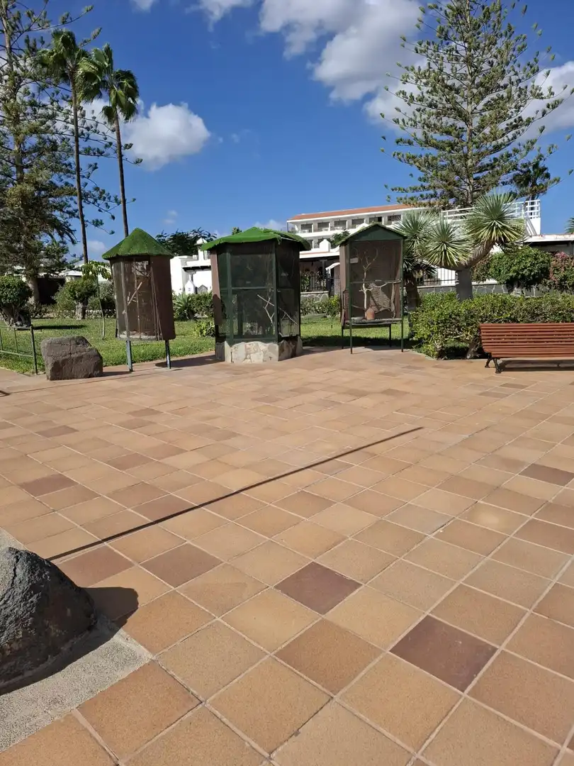 Piso de 804 m² en San Bartolomé de Tirajana
