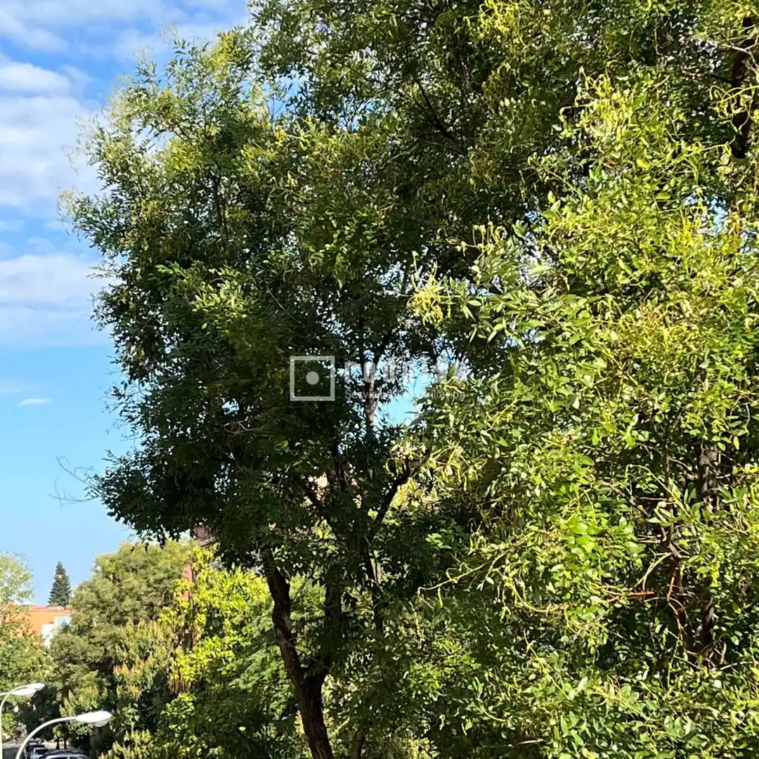 Piso de 79 m² en Madrid
